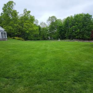 SavATree - Tree Service & Lawn Care