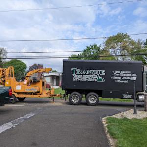 Transue Tree Service
