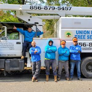 Union Brothers Tree Service