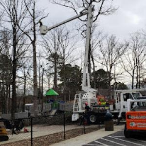 Jedidiah Sawyer Tree Service