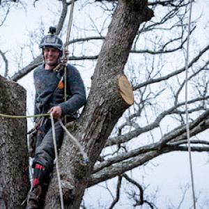 Tree Service San Leandro Pros