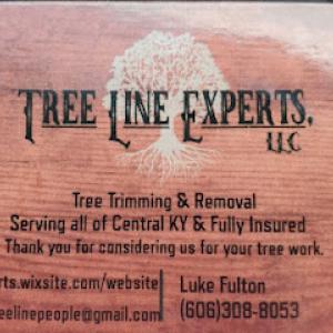 Tree Line Experts