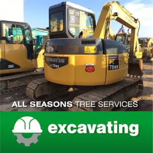 ALL Seasons Tree Services