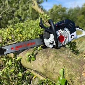 Remedy Tree Removal Service