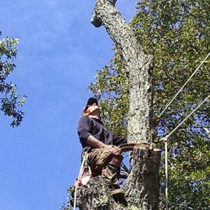 B's tree service