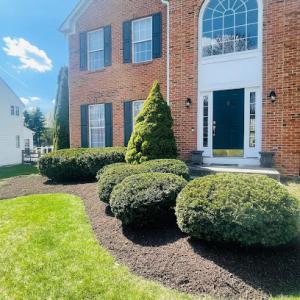 Wilson Lawn Services