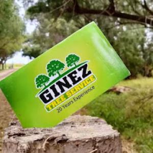 Ginez Tree Service Fully Insured