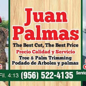 Juan Palmas Tree Service