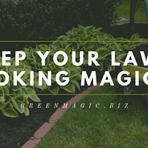 Green Magic Lawn & Landscape - SavATree