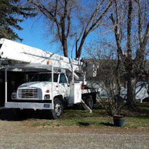 Frontier Tree & Pest Control