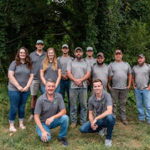 All Natural Tree Experts