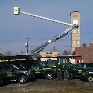 B&B Tree Service
