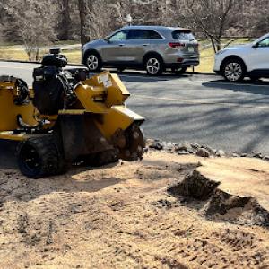 Fieldstone Stump Grinding