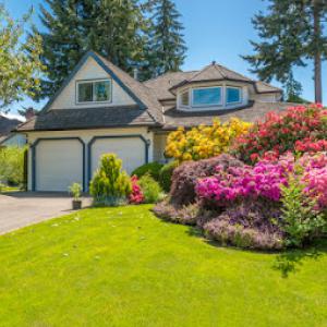 Richters Beautification