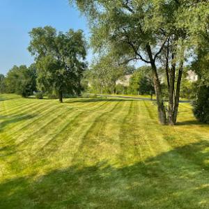 Platinum Lawn Service & Landscaping