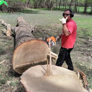 Climbing to the Top Tree Service