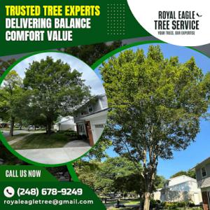 Royal Eagle Tree Service
