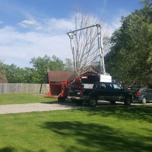 Cedar Knoll Tree Service