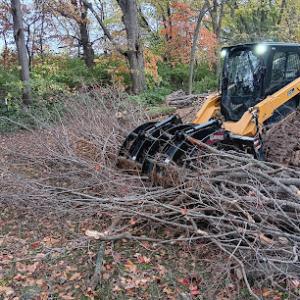 Campion Land Management