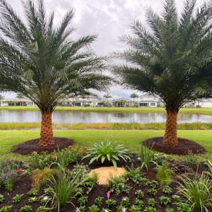 Jaguar Garden Designs