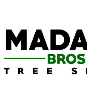 Madalina Bros Tree Service
