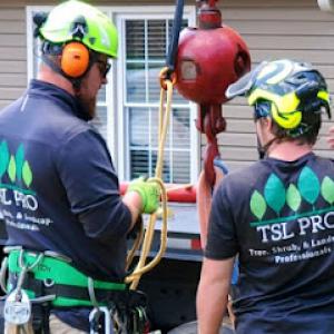 TSL PRO- Your Tree, Shrub, & Landscape Professionals