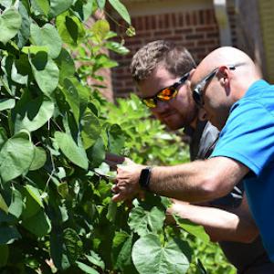 Schneider Tree Care - Spartanburg