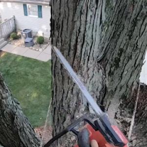 Spartanburg Tree Care