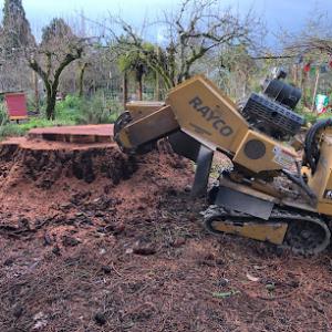 Bison Heart Stump Grinding