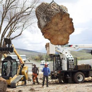 2 Rivers Tree Service & Hardscapes