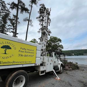 Unlimited Tree Service