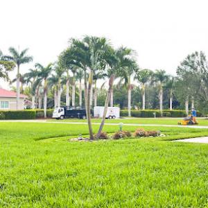 Five Star Lawn care & Landscaping