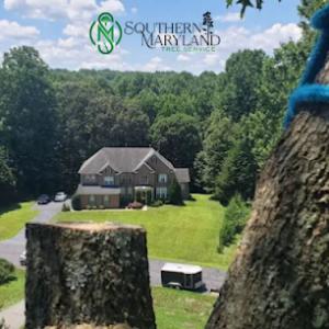 Southern Maryland Tree Service