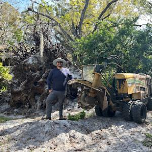 Native Stump Grinding