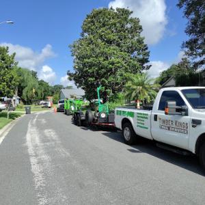 Timber Kings Tree Service
