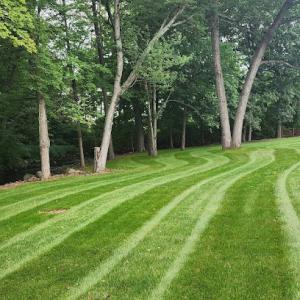 Lorenzo's Landscaping & Tree Service