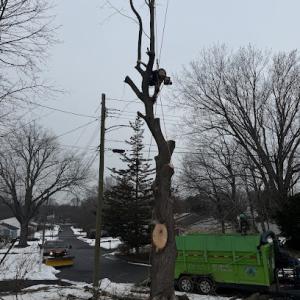 Professional Master Landscaping