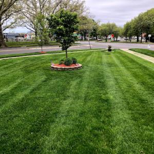 Centi's Landscaping LLC & Tree Removal Services