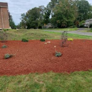 EA Lawn Care & Tree Service - Tree Trimming Company Meriden CT, Tree Removal, Tree Care, Tree Cutting Company