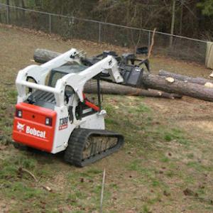 Acadiana Tree Service & Stump Removal