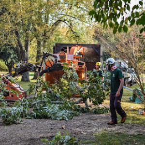 The Good Tree Company