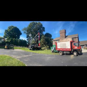 Y&B Landscaping Tree Services