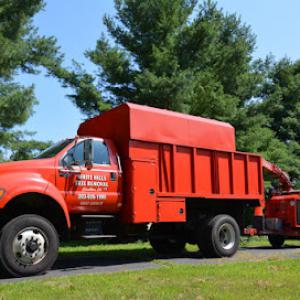 White Hills Tree Removal