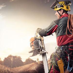Sunrise Tree Service