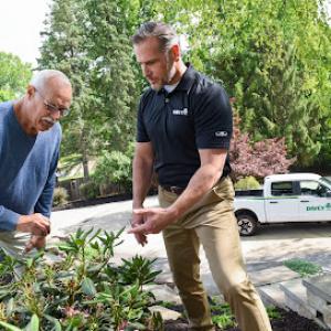 The Davey Tree Expert Company