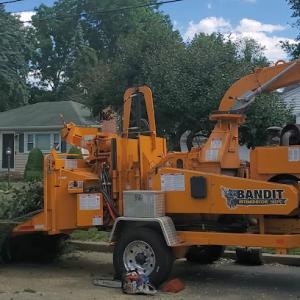Schmitt Tree Service & Landscaping