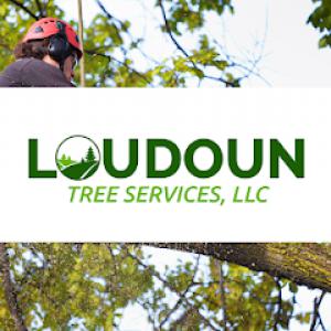 Loudoun Tree Services