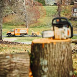 Roberts’ Tree Experts