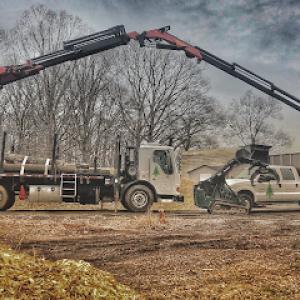 Barren Tree Solutions