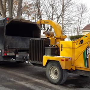 Potter's Tree Service
